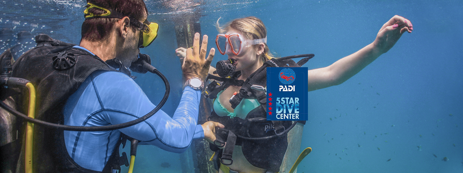 scuba diving tours padi