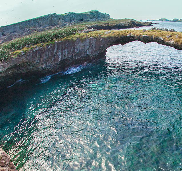Explore Vallarta With Our Adventurous Staff Vallarta Adventures