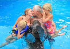 Great family sea lion tour in Puerto Vallarta | Dolphin Adventure | Vallarta Adventures