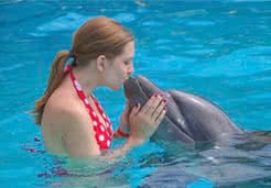 Exclusive private dolphin programs with Vallarta Adventures 