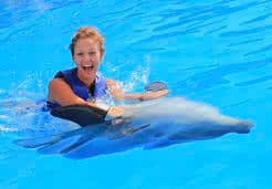 Dolphin Adventure  in Mexico | Vallarta Adventures