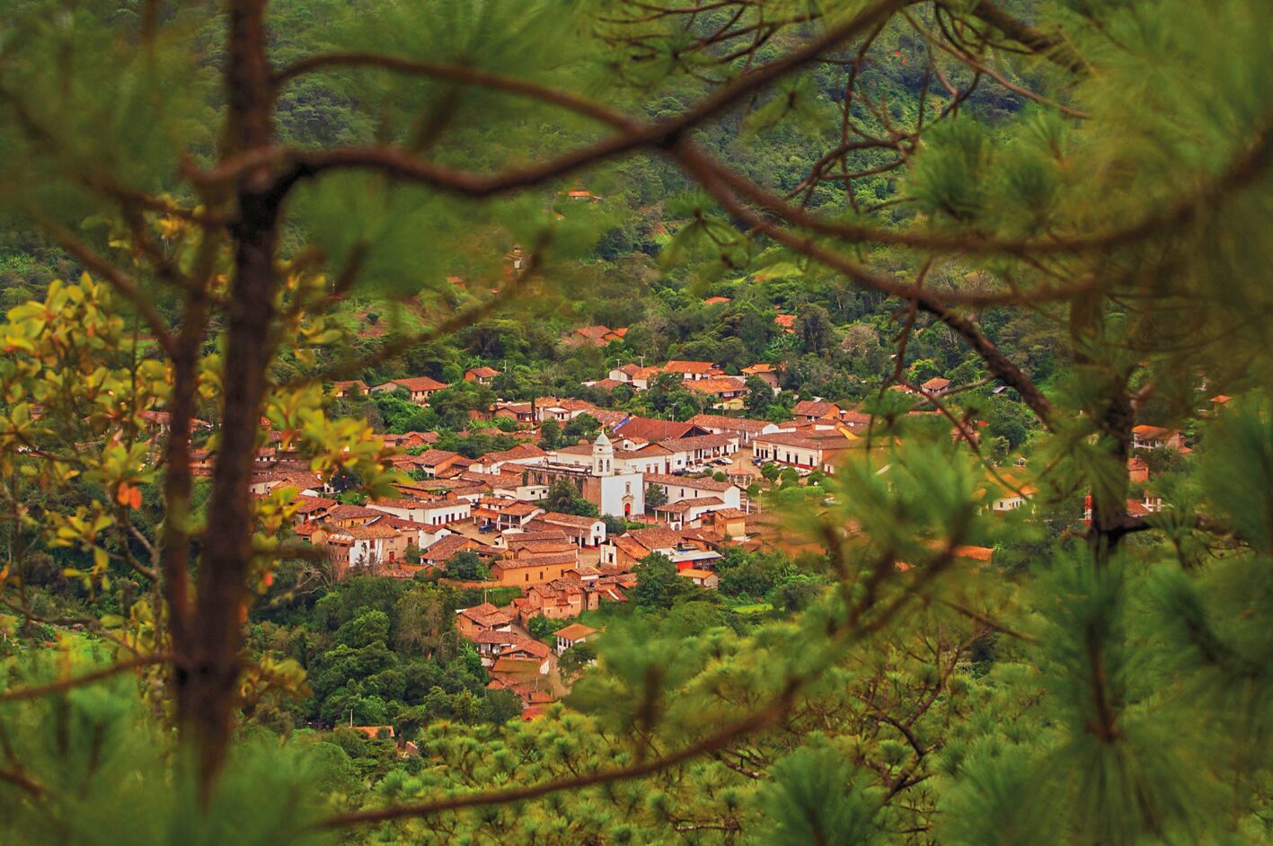 a view of the village in southern Puerto Vallarta through the trees