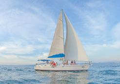 Luxury Sailing and Snorkeling