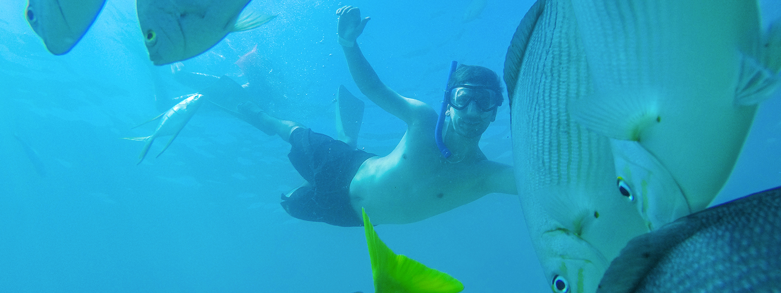 snorkeler in cancun with fish