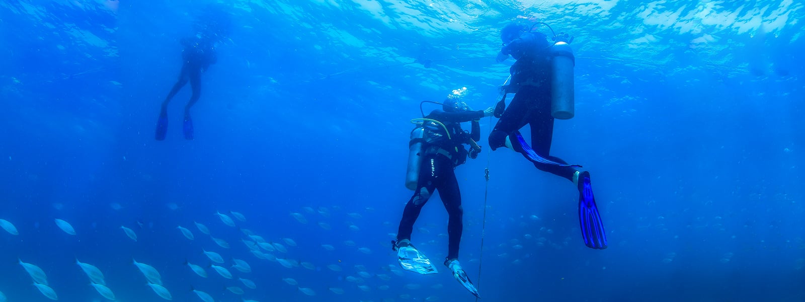 Scuba divers underwater on the PADI Discover Scuba Diving tour