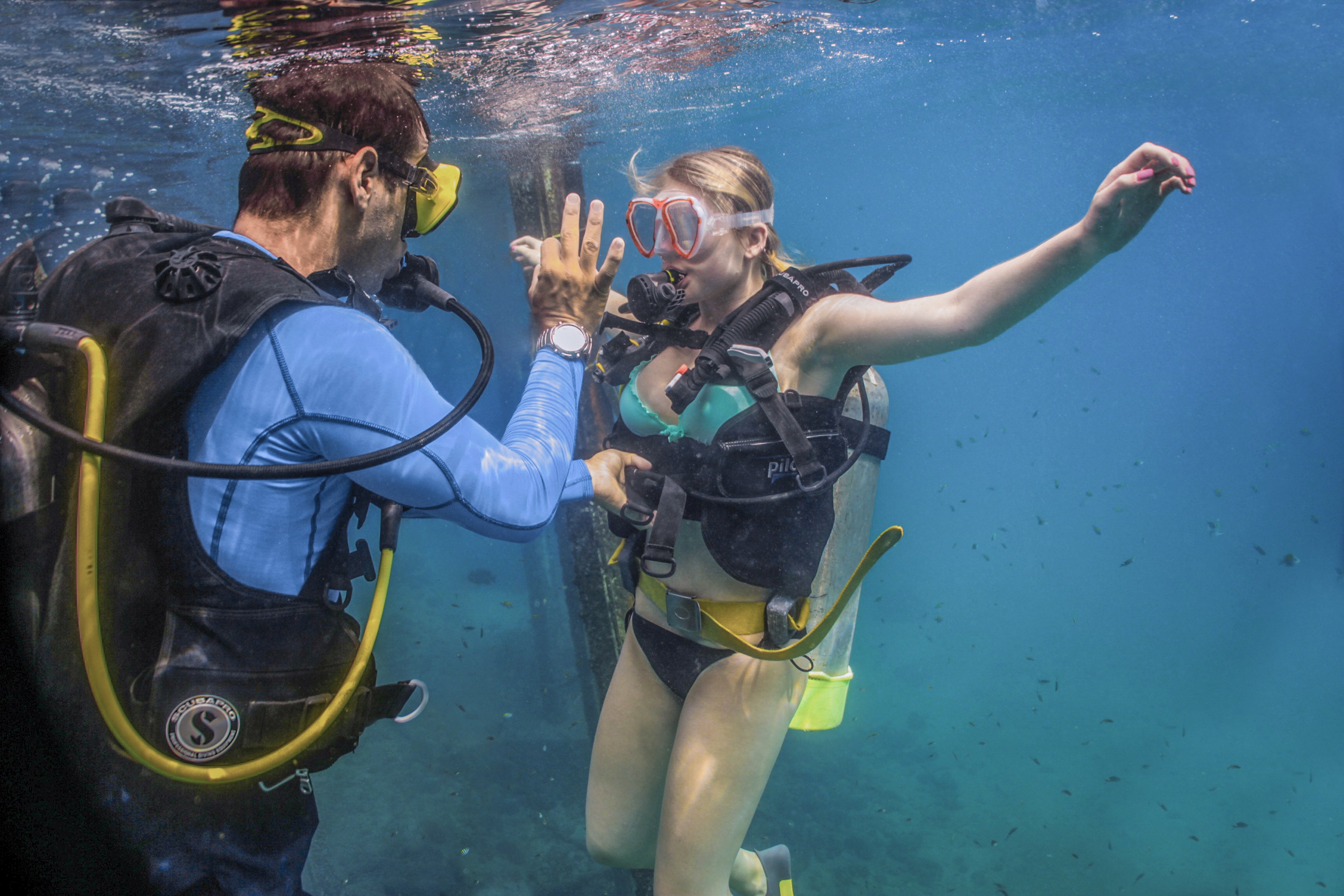 How To Scuba Dive The Puerto Vallarta Way Vallarta Adventures Free