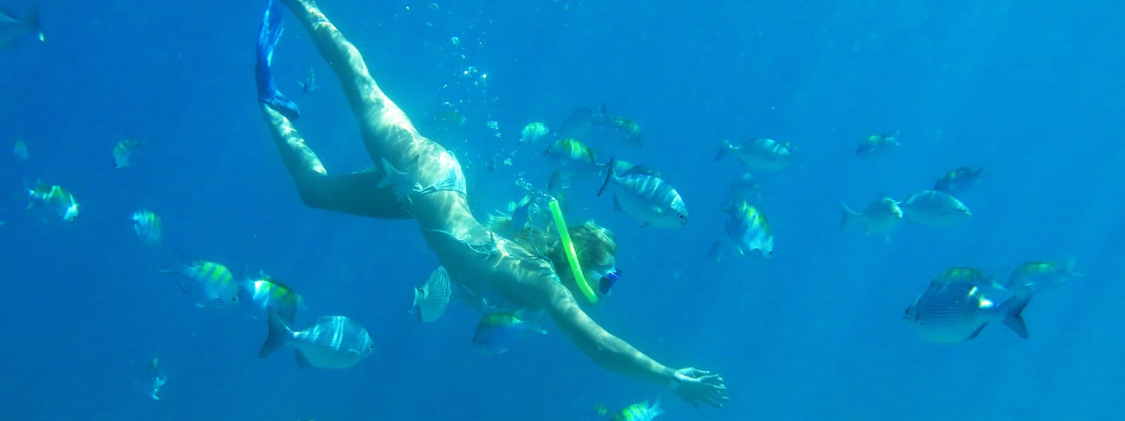 Puerto Vallarta snorkeling with Vallarta Adventures