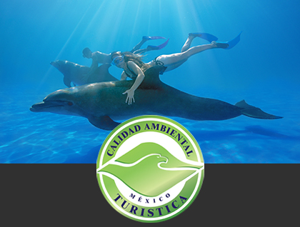 Tourism Company with Optimal Environmental Care