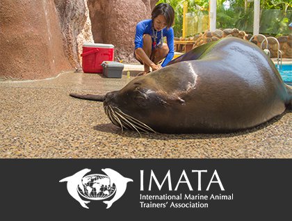 International Marine Animal Trainer’s Association (IMATA)