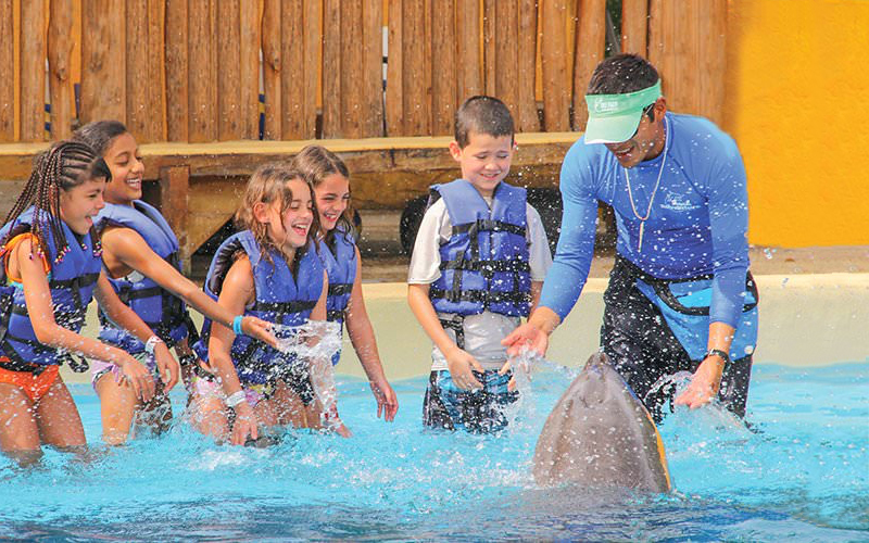 Kids only dolphin swim in Puerto Vallarta | Swim with dolphins in Puerto Vallarta | Vallarta Adventures|