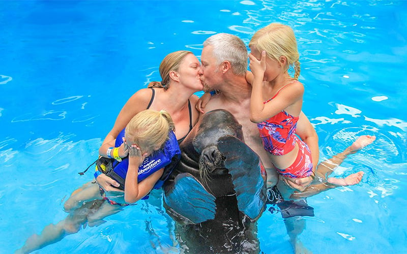 Great family sea lion tour in Puerto Vallarta | Dolphin Adventure | Vallarta Adventures|