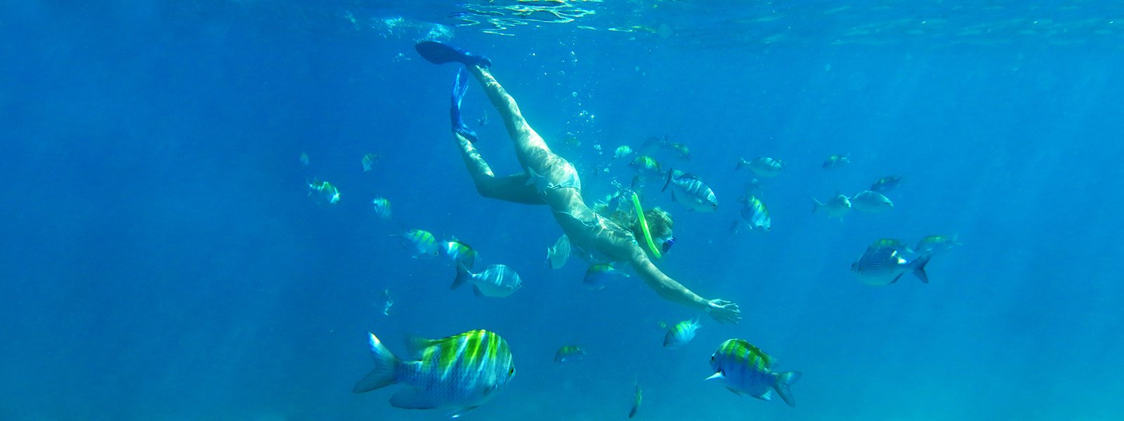 Snorkeling in Cancun and Playa del Carmen