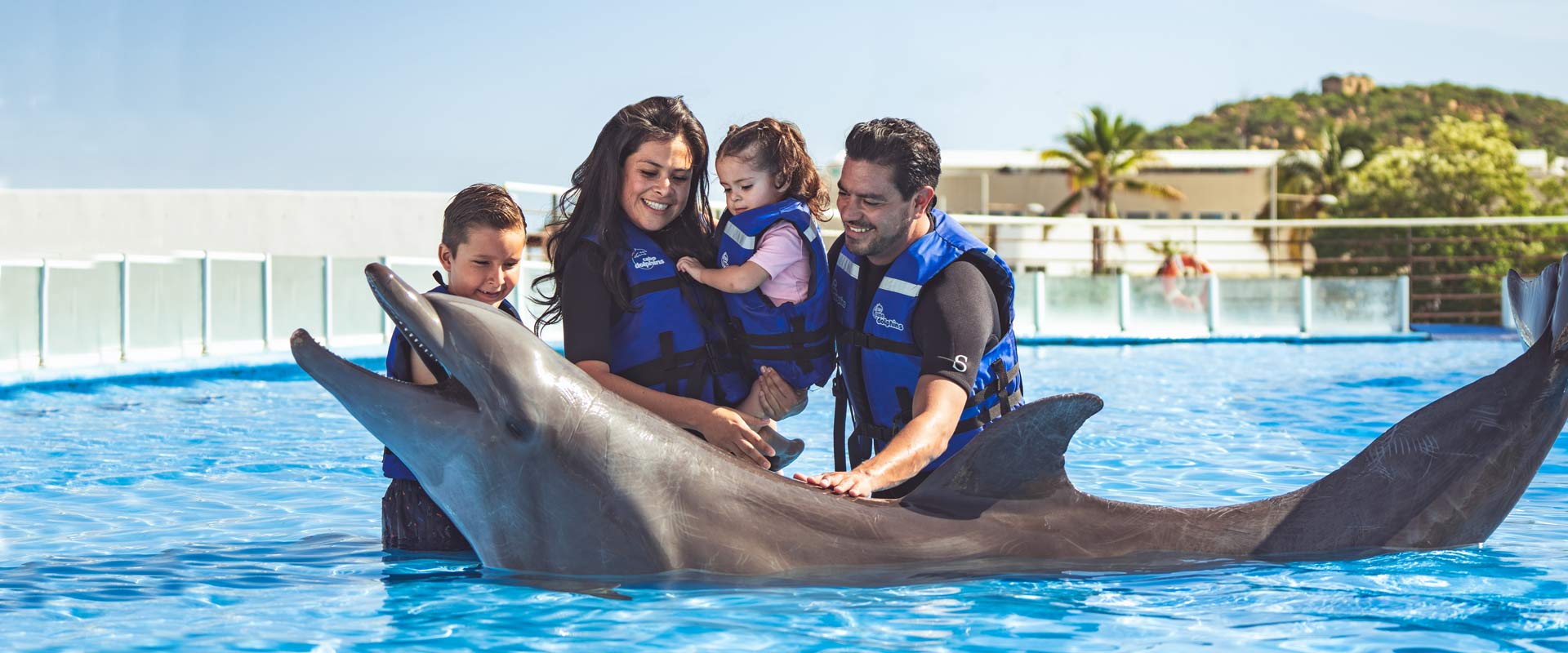 swim with dolphins with your family