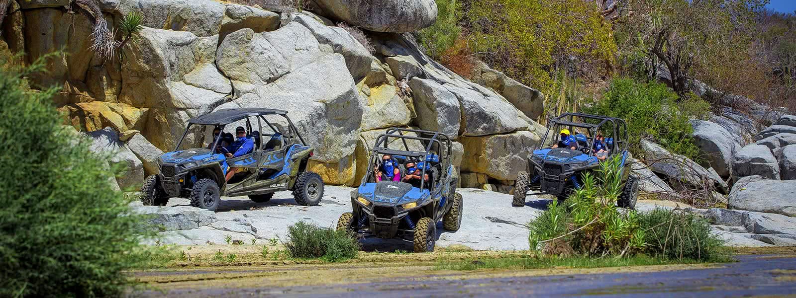 Exploring the Baja desert