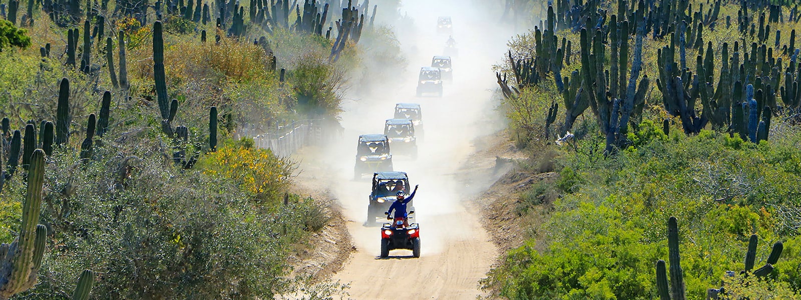 4 wheeler in cabo desert