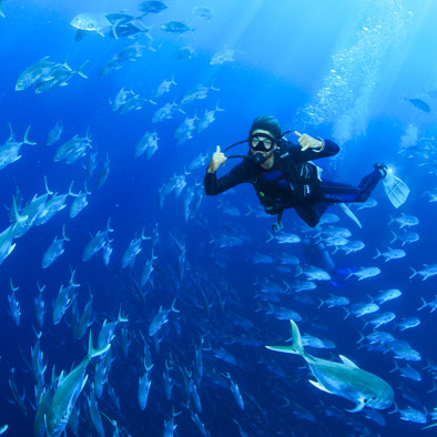 scuba divers underwater on lands end diving tour in cabo