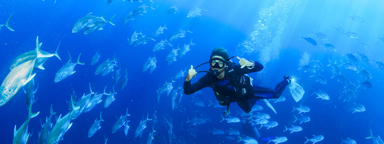 Cabo San Lucas diving