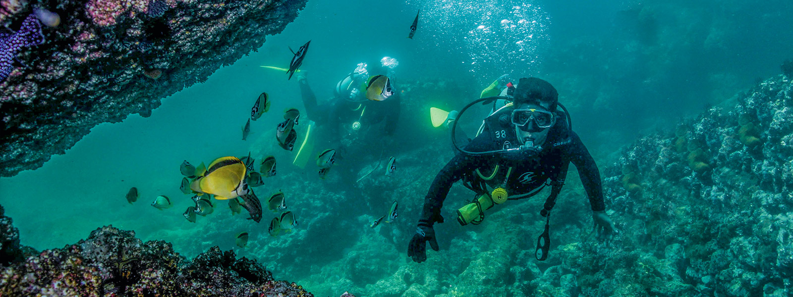 Scuba diving trip to Marietas Islands