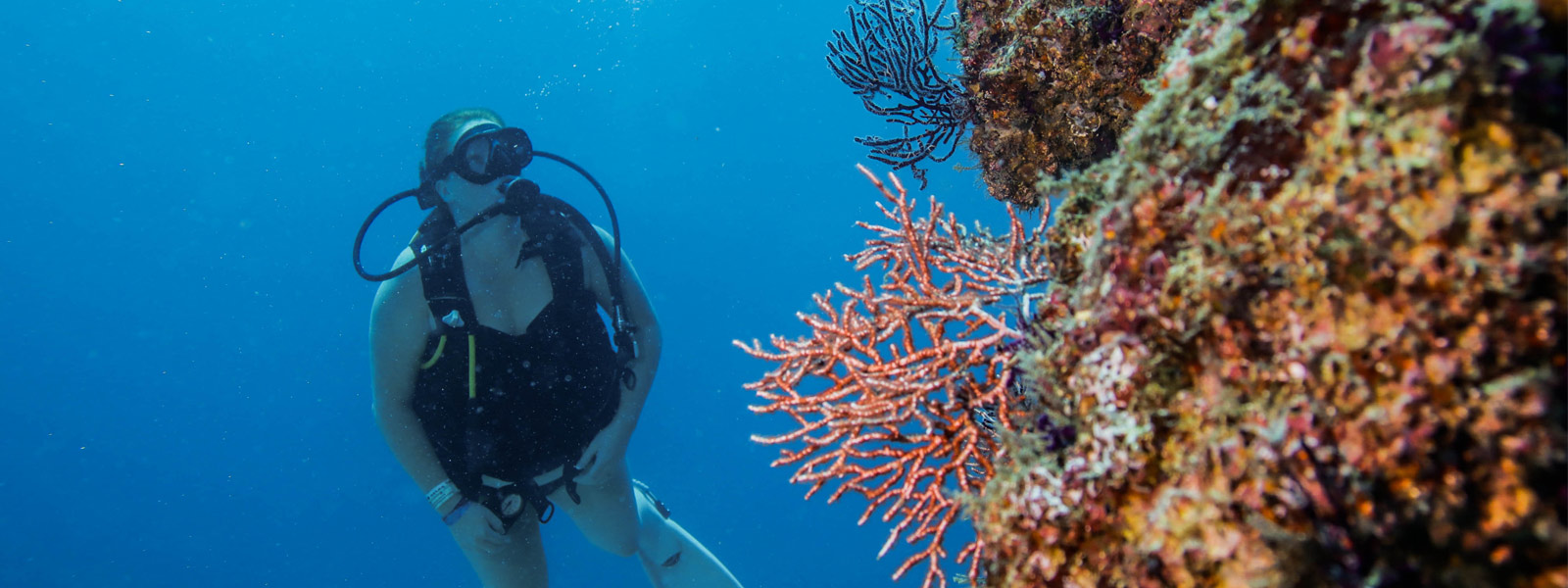 Explore Islas Marietas Scuba Diving