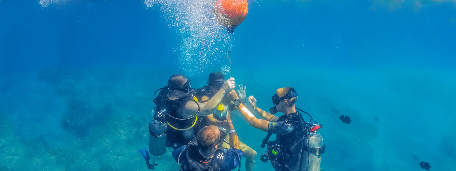 Learn to dive in puerto vallarta with expert divemasters