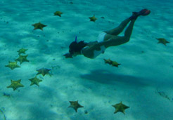 cozumel snorkeling with cancun adventures|