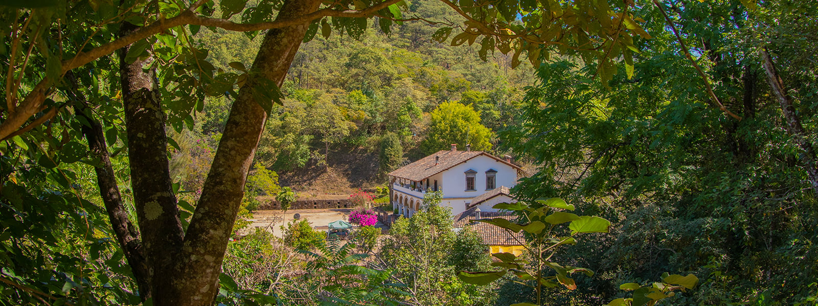 Discover all the wonders of San sebastian del oeste with vallarta adventures