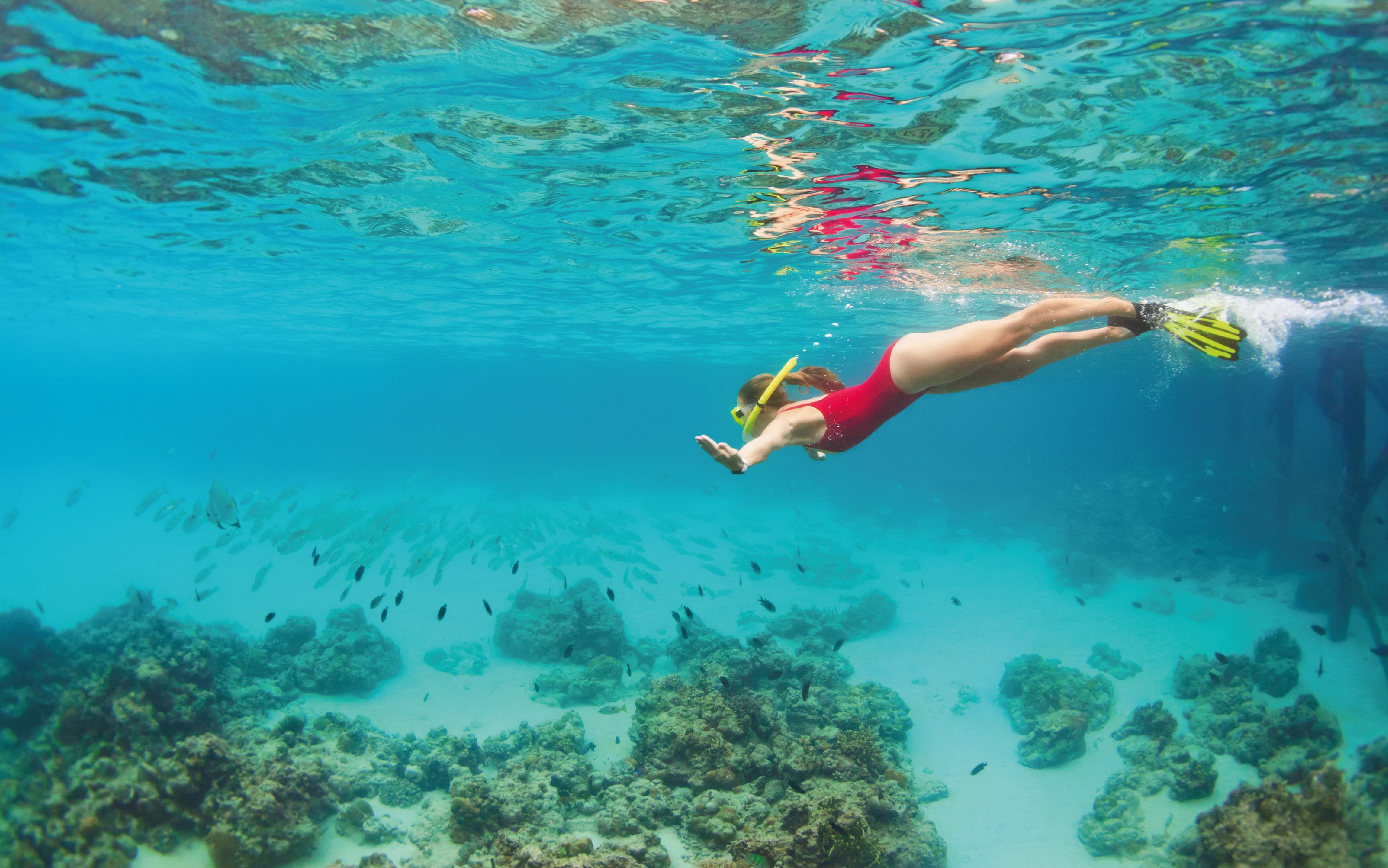 Cozumel Luxury Sailing &amp;amp; Snorkeling | Cancun Adventures|