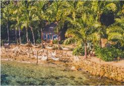 Best beach in Puerto Vallarta | Las Caletas | Vallarta Adventures|