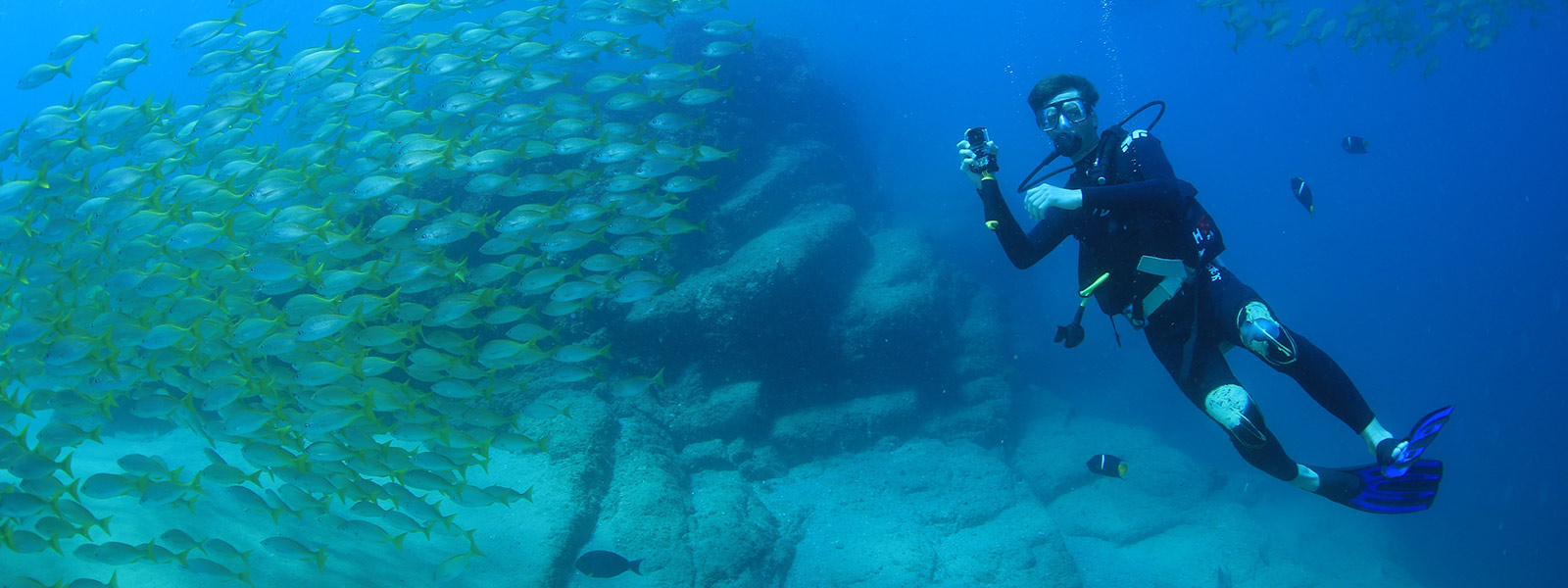 PADI 5-star Dive Center - Cabo Adventures