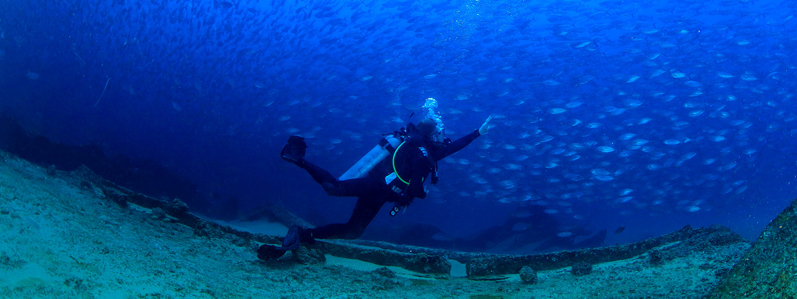 PADI Open Water Certification Course with Cabo Adventures