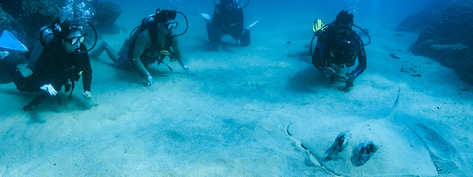 PADI Open Water Certification Course with Cabo Adventures