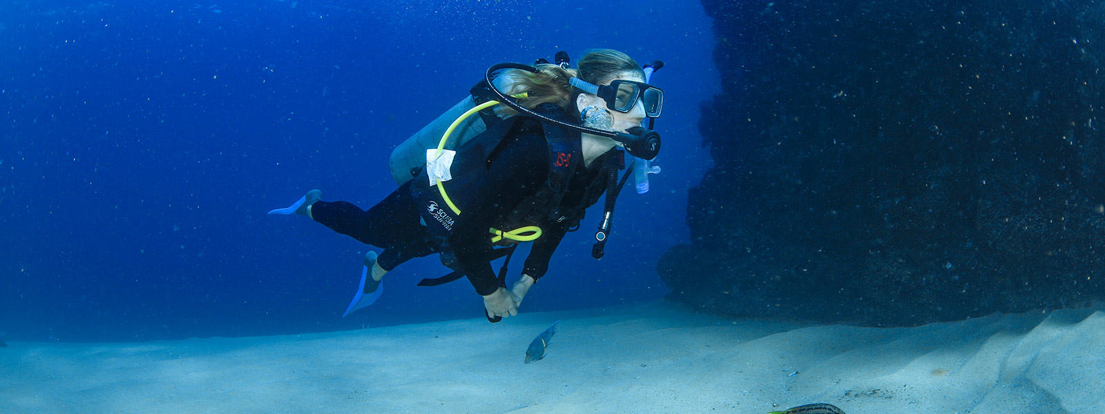 Scuba Diving with Cabo Adventures