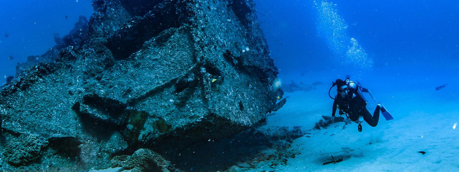 PADI Open Water Referral Course | Cabo Adventures