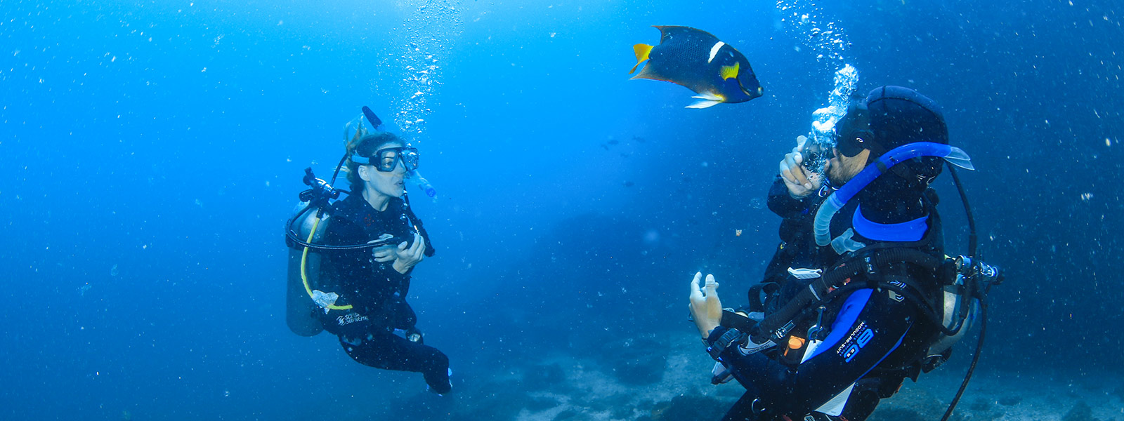 Best PADI Courses in Los Cabos | Cabo Adventures