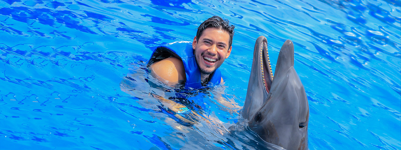 Dolphin signature swim | Dolphin Rides | Vallarta Adventures