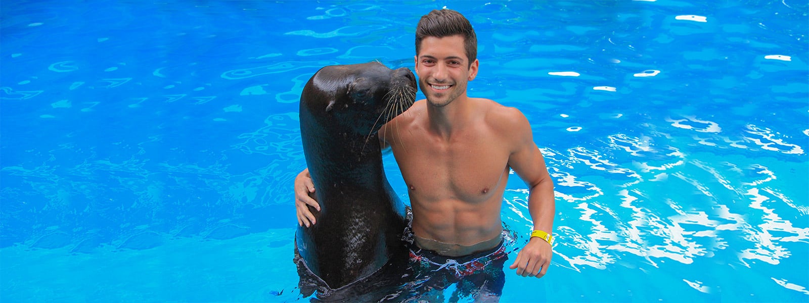 Sea lions in Puerto Vallarta | Vallarta Adventures