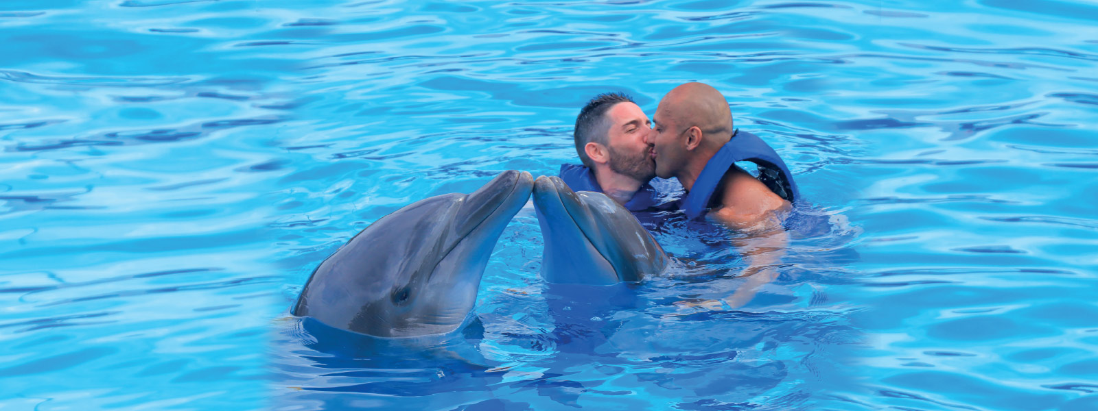 the only swim with dolphins gay-exclusive experiences in Puerto Vallarta