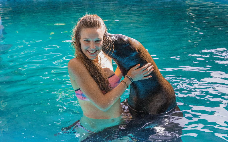 Interact with dolphins &amp;amp; sea lions in Puerto Vallarta  | Vallarta Adventures|