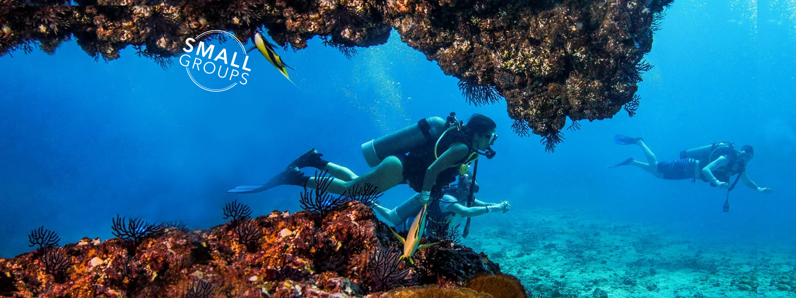 Scuba dive at Islas Marietas with Vallarta Adventures