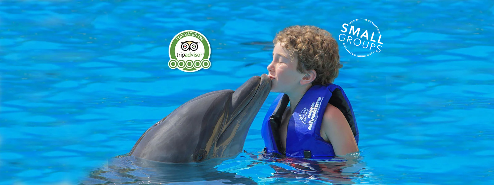 Book Today To Save 10 USD in any of our Dolphin Swim Programs.