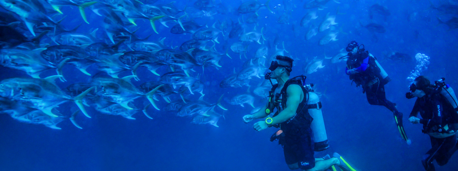 Scuba Dive on vacation in Los Arcos Puerto Vallarta