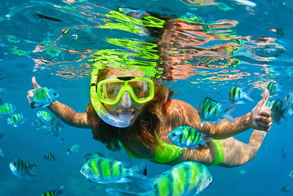 Best Snorkeling in Cozumel | Cancun Adventures