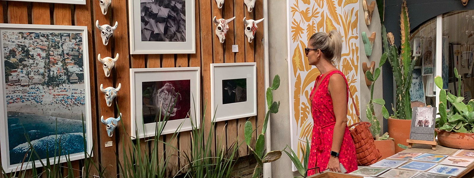 Enjoy galleries and art during a San Pancho and Sayulita tour