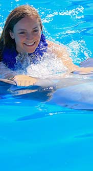 Experience dolphins up close on a private tour in Cabo