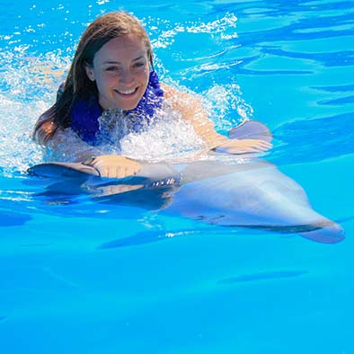 Smile alongside a dolphin during your private Cabo tour