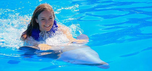 Swim in private with a lovely dolphin in Cabo