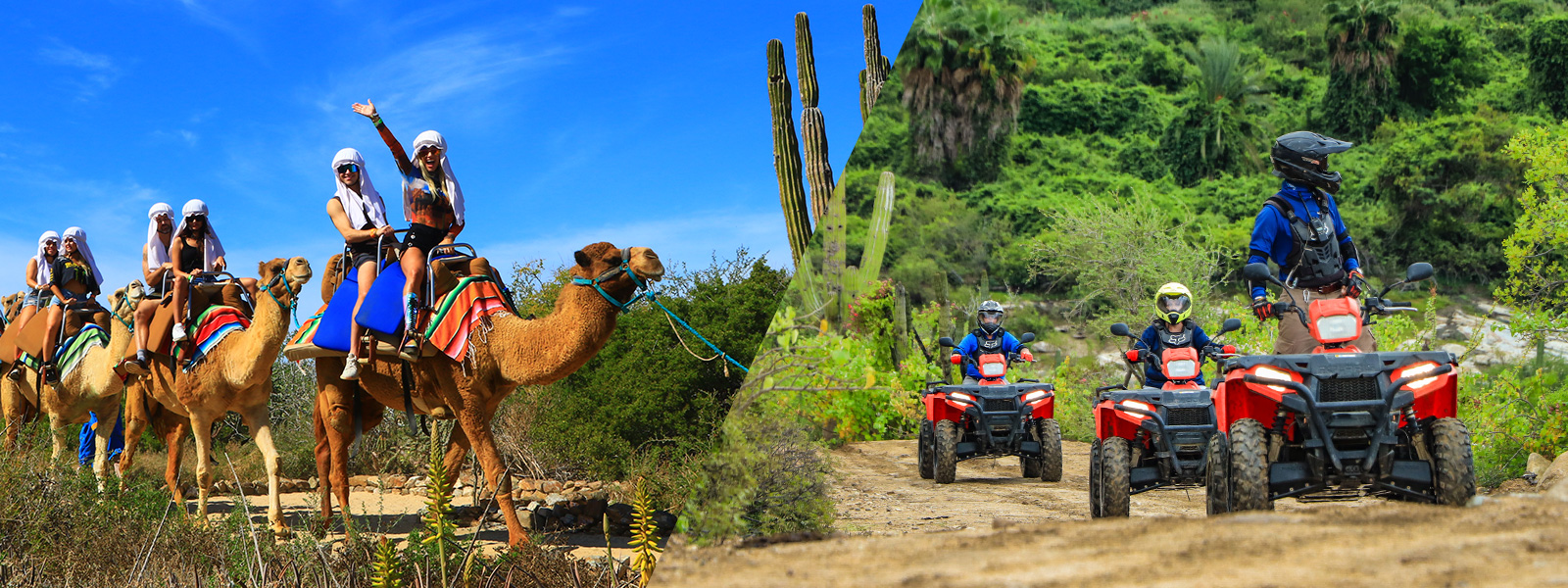 atv and camel riding in cabo san lucas