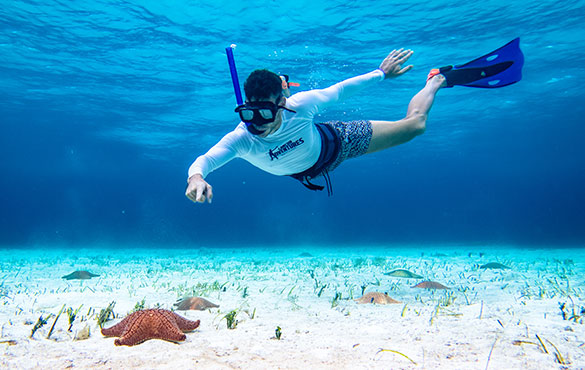 Guide to Snorkeling in El Cielo Reef | Cancun Adventures