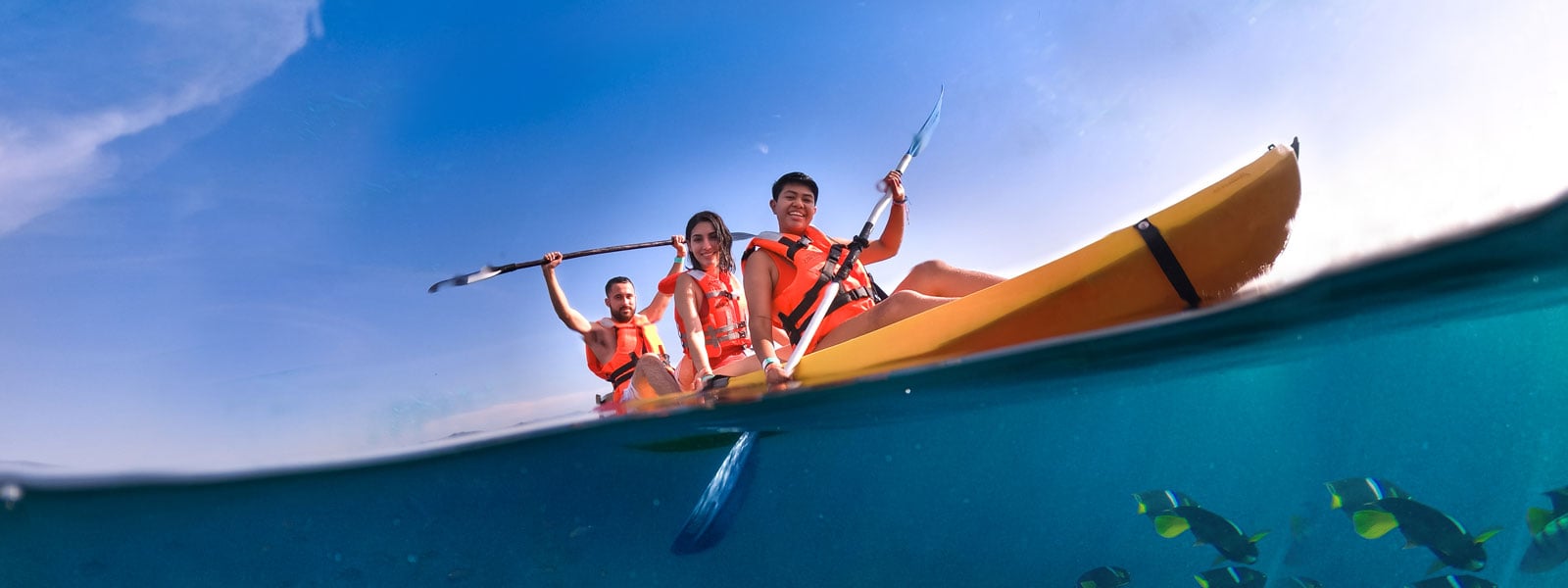 kayak tours in puerto vallarta