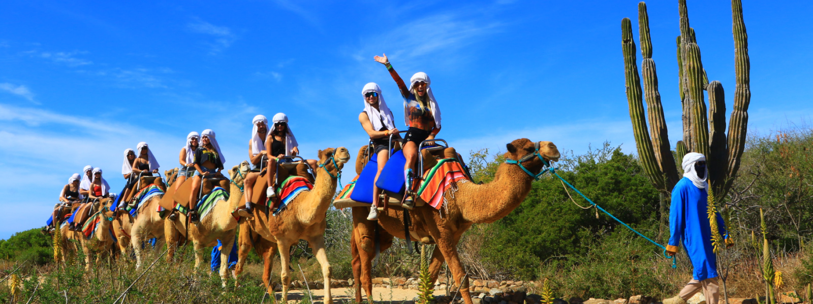 Camel ride in the desert